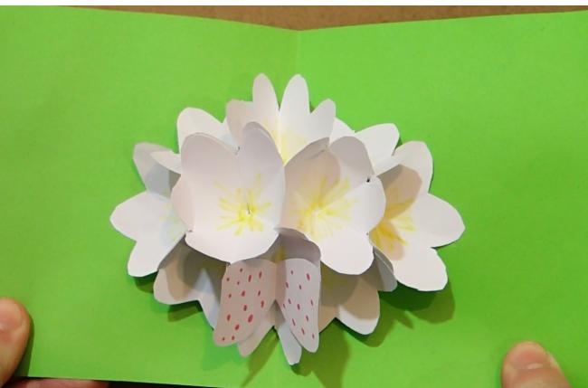 Открытка поп-ап с цветами